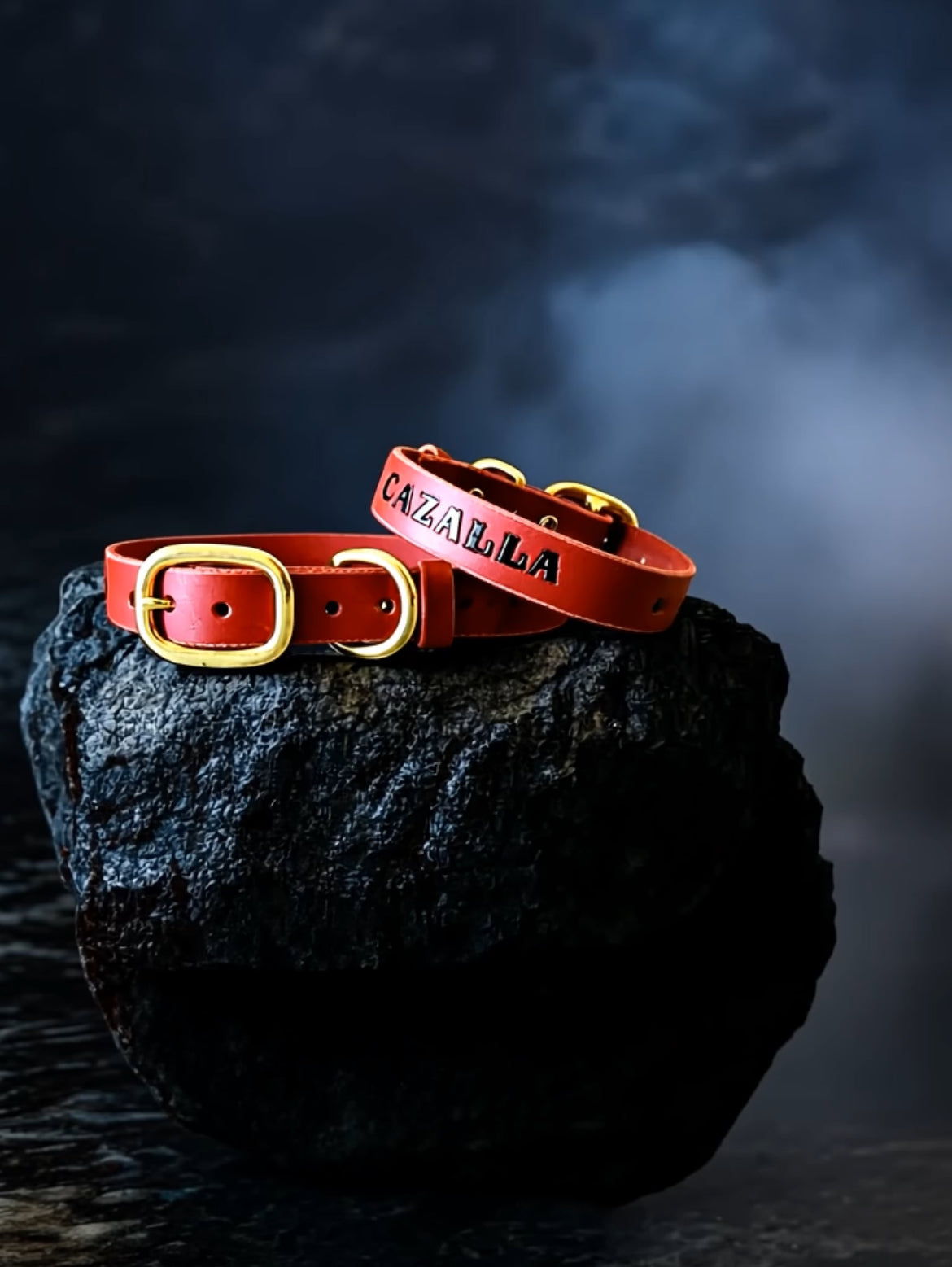 Standard Leather Dog Collar
