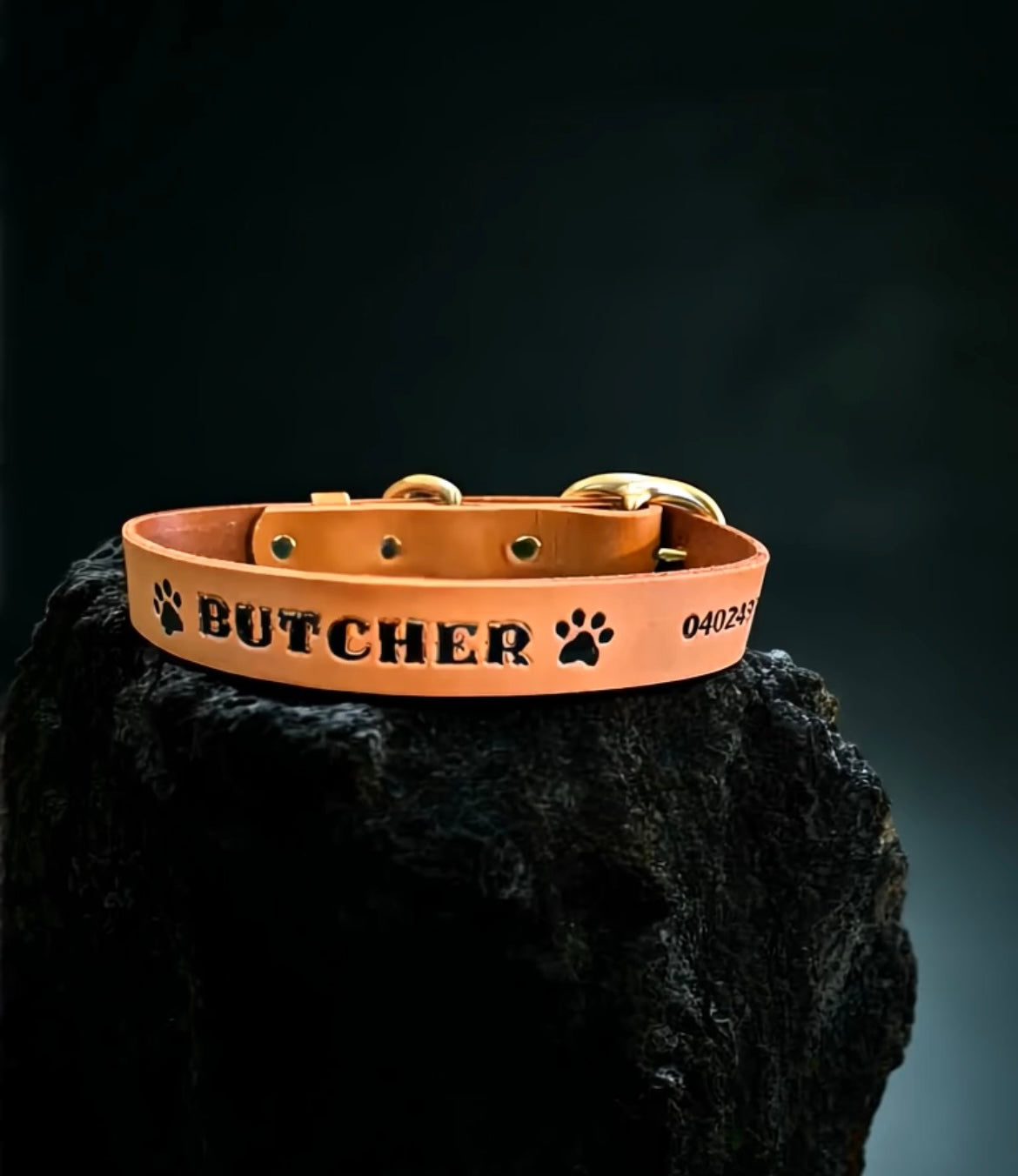 Standard Leather Dog Collar